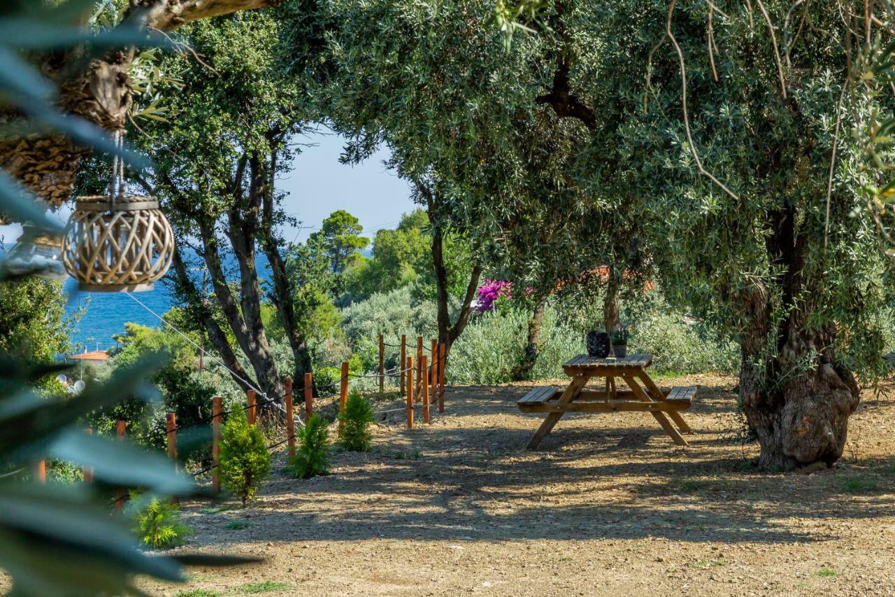 Olive Grove Apartment Skopelos Exterior foto