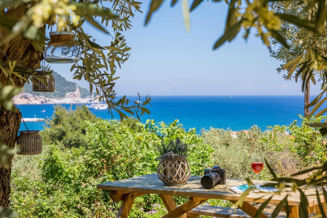 Olive Grove Apartment Skopelos Exterior foto