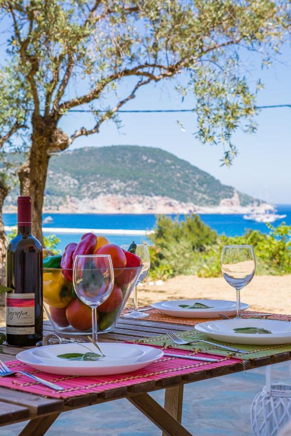 Olive Grove Apartment Skopelos Exterior foto